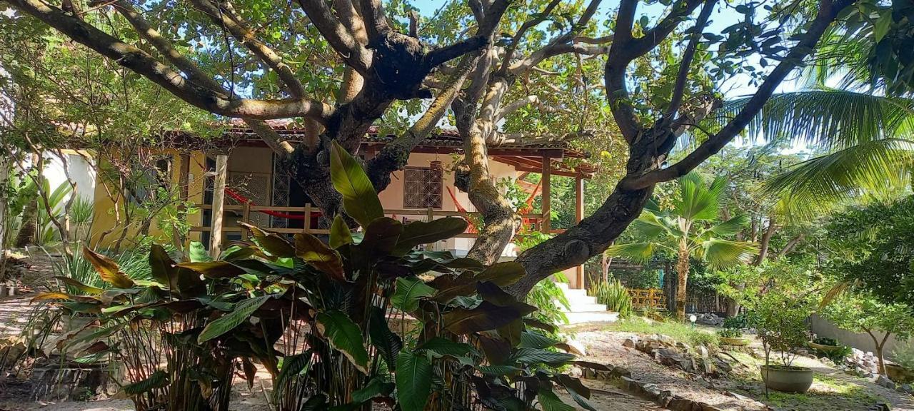 Cool Pipa Lodge Praia de Pipa