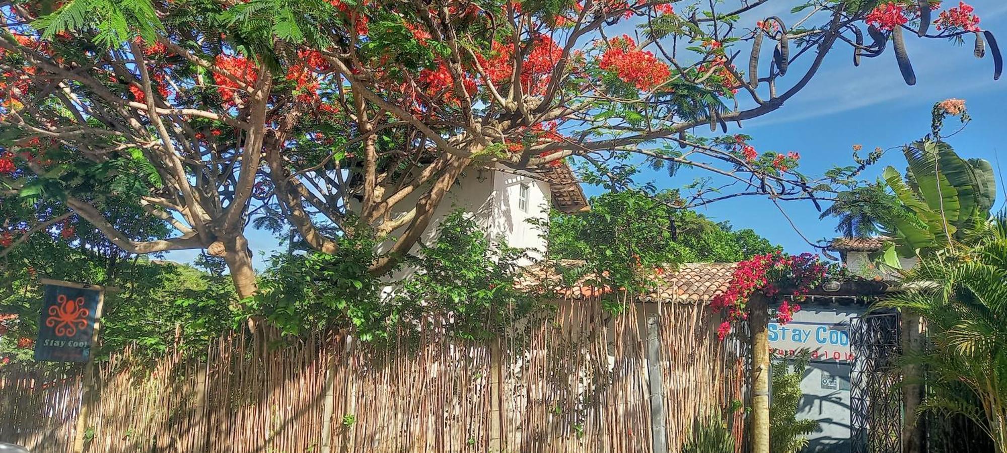 Lodge Cool Pipa Praia de Pipa