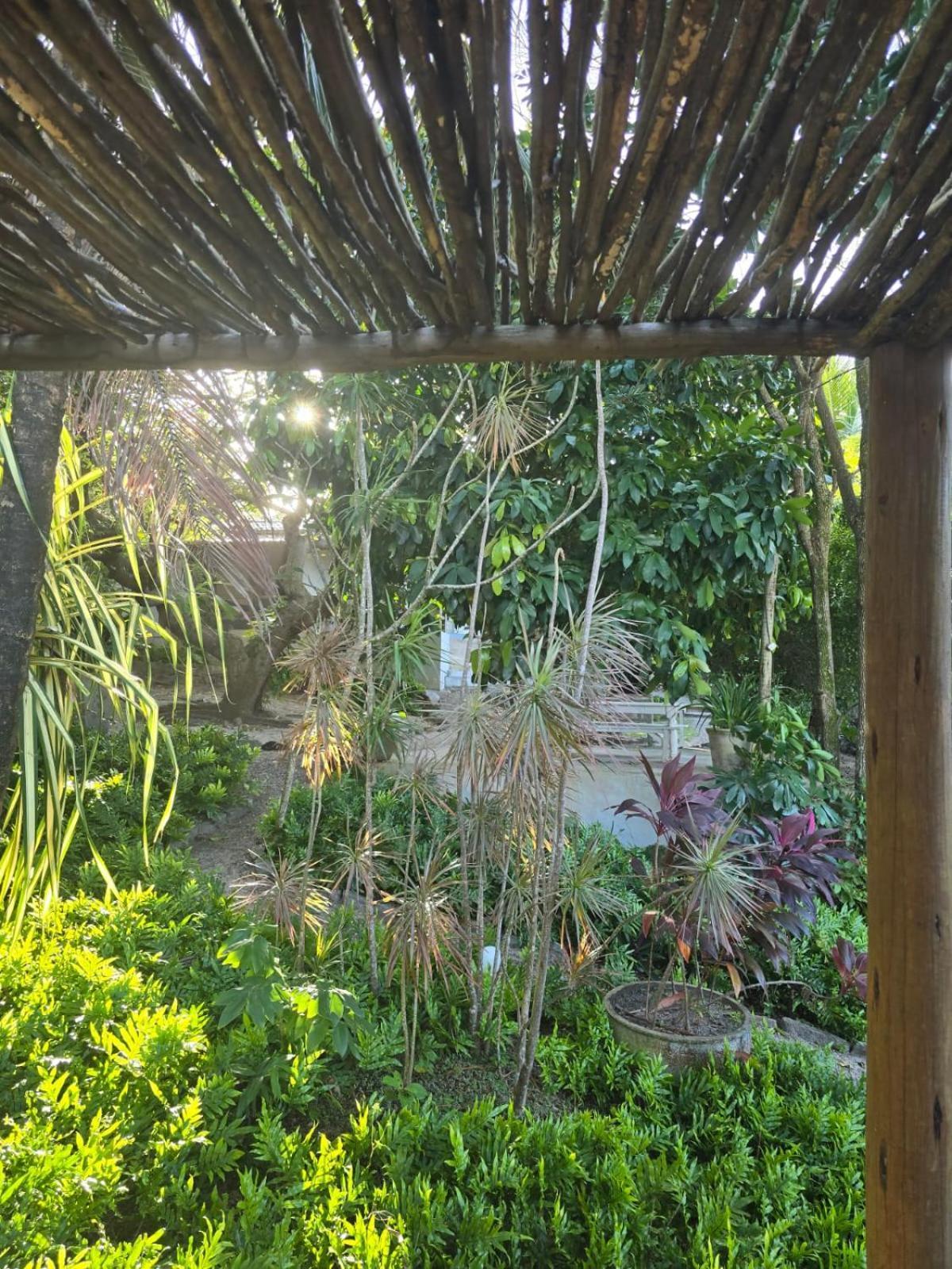 Cool Pipa 山林小屋