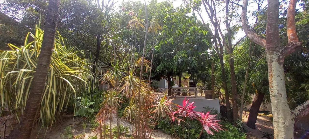 Lodge Cool Pipa Praia de Pipa