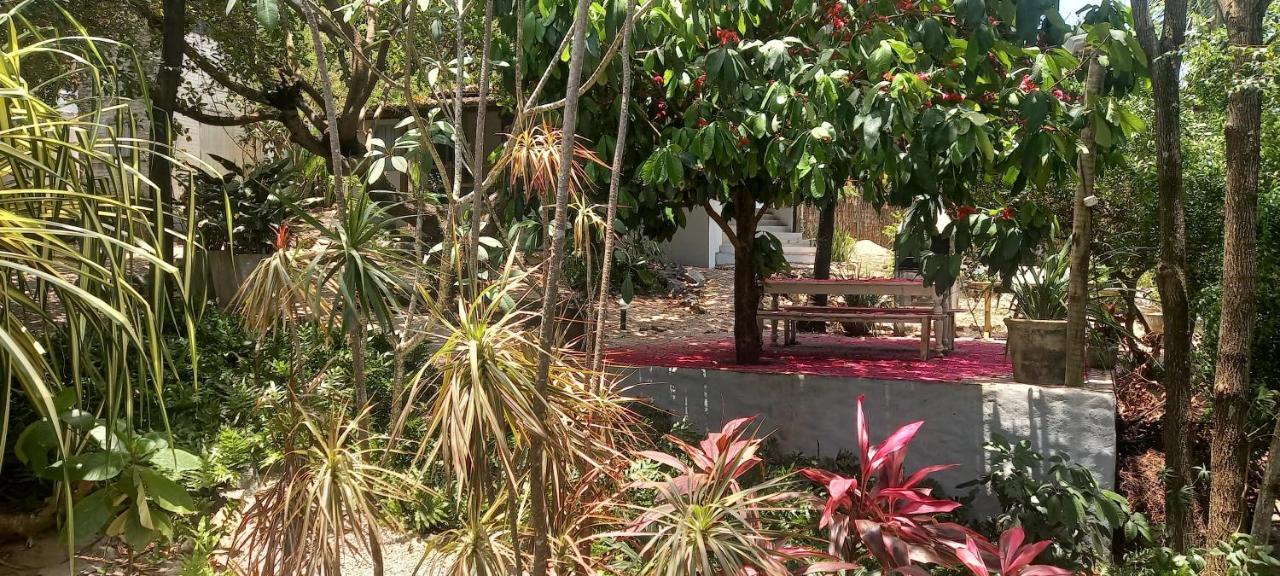 Lodge Cool Pipa Praia de Pipa