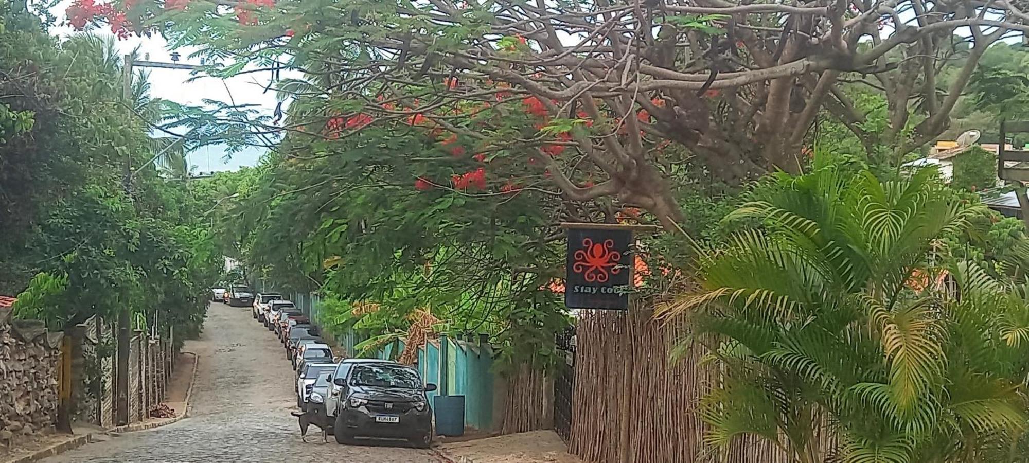 Cool Pipa Lodge